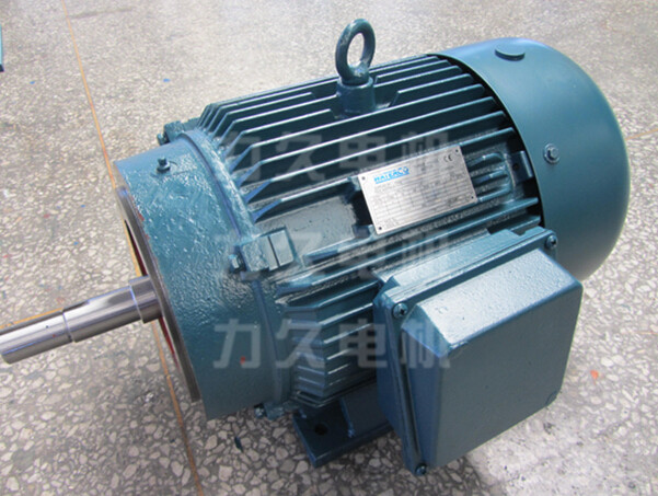 NEMA電機(jī)T484