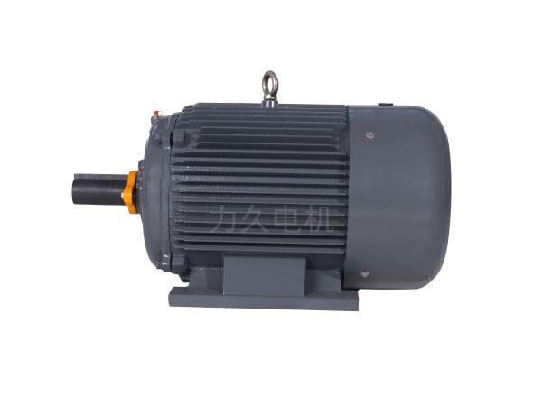 NEMA  PREMIUM超高效三相異步電動機(A、B設(shè)計)